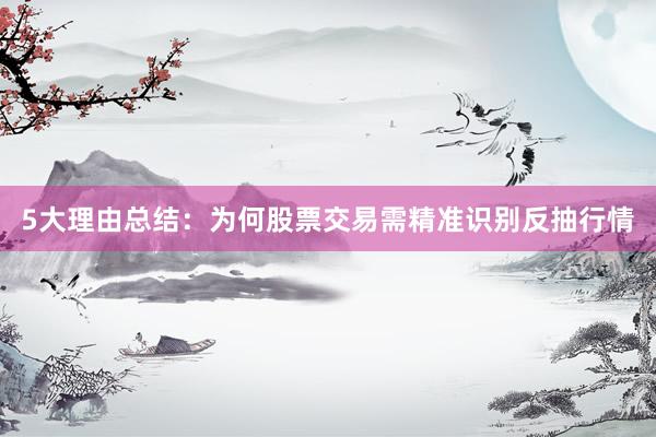 5大理由总结：为何股票交易需精准识别反抽行情